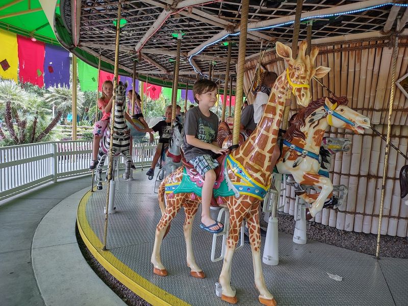 Memberships and Passes: Making the Most of Your Budget