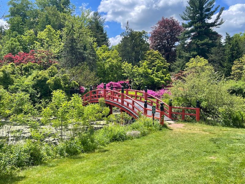 Miles of Trails That Reward Every Kind of Explorer