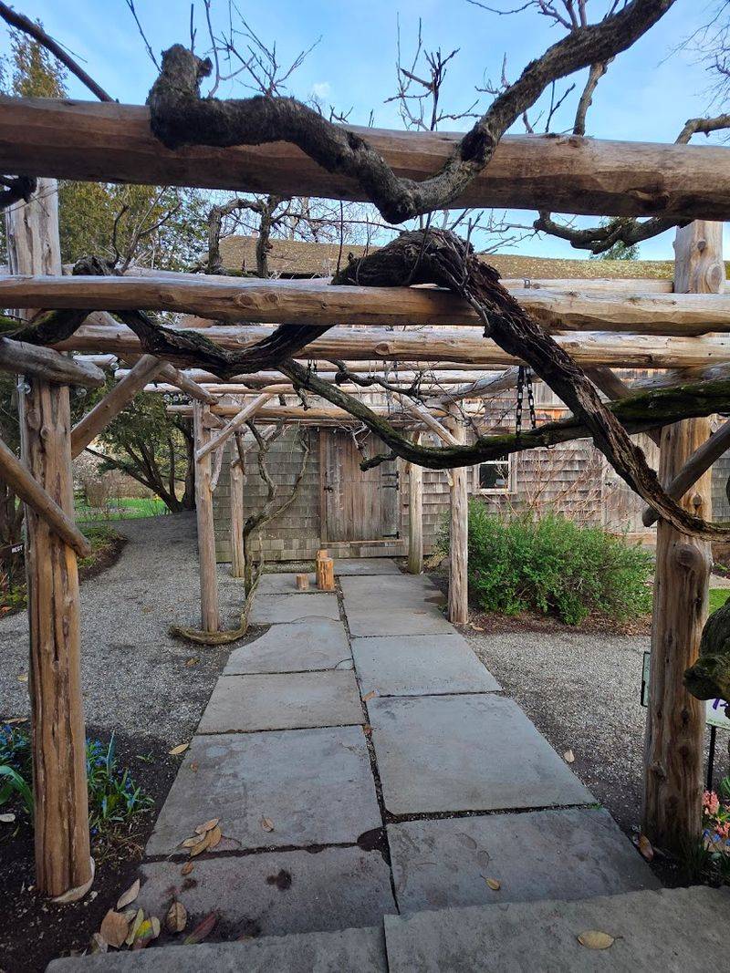 Tips for First-Time Visitors Who Want to Get It Right