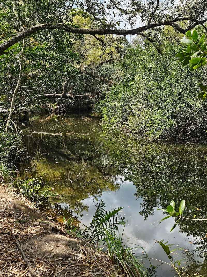 Nature Trails That Wind Through Shaded Florida Forest