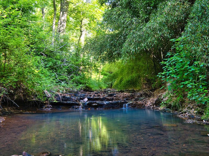 Photography Opportunities Around Every Corner