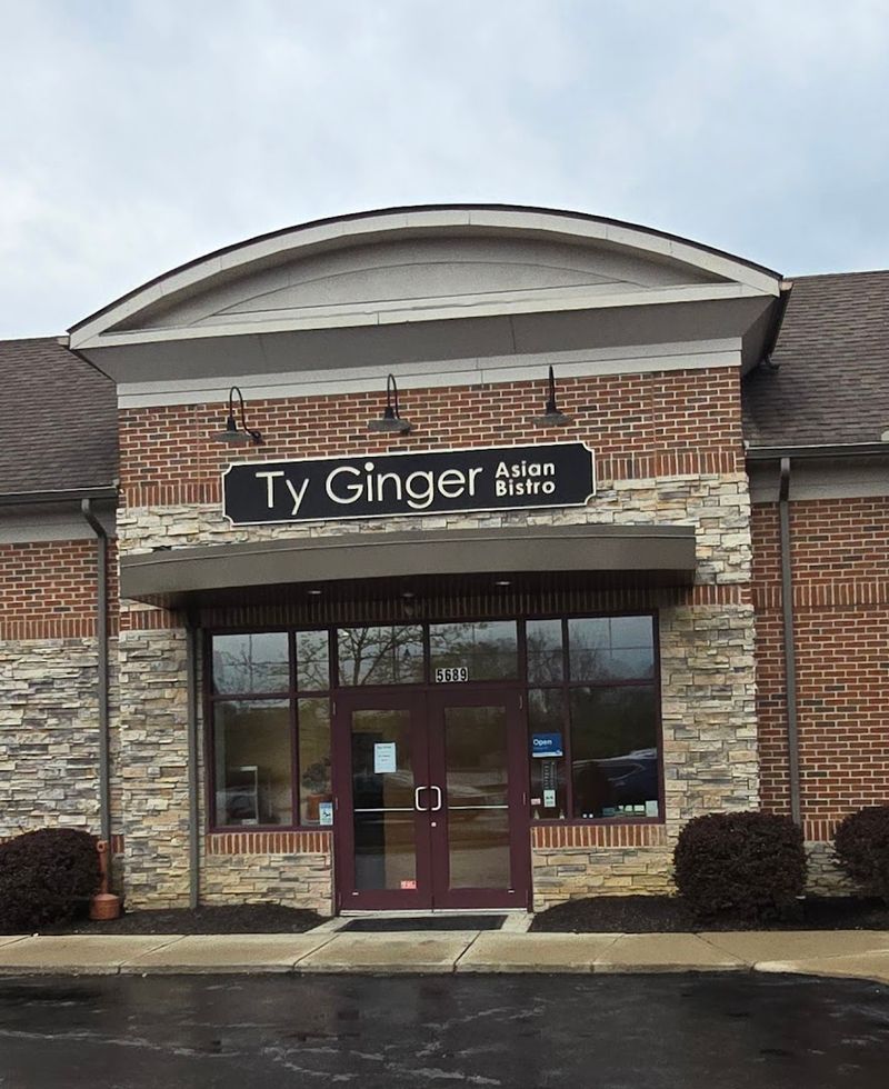 Ty Ginger Asian Bistro, Dublin