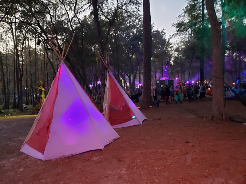 VIP Experiences and Tiered Festival Access