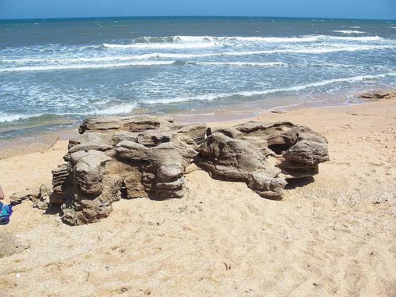 Washington Oaks Gardens State Park (Palm Coast)