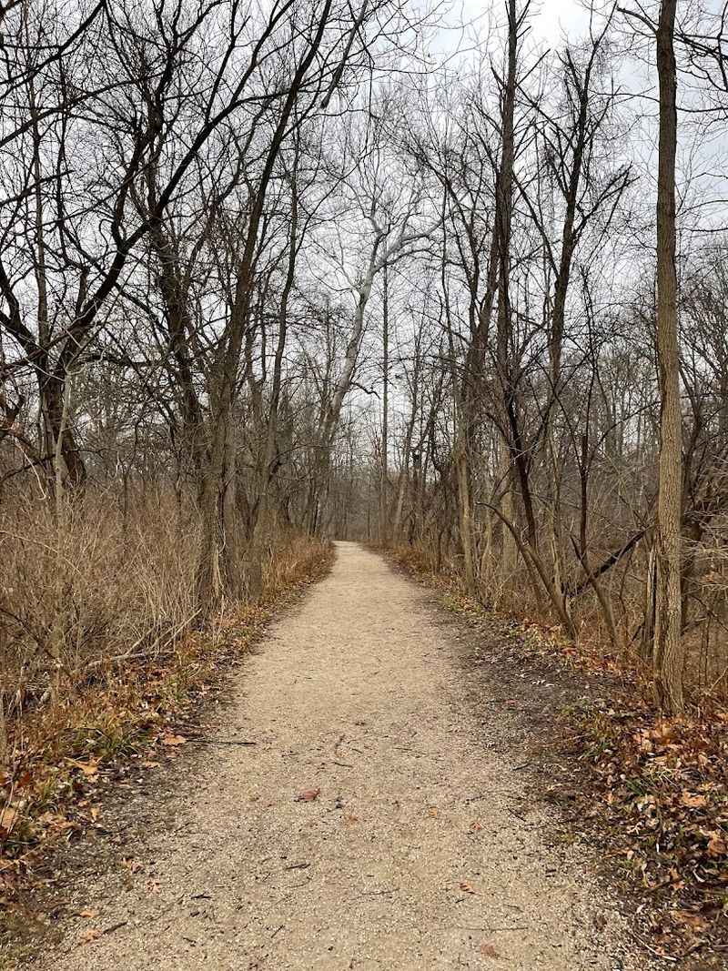 Tiny Treasures Along the Path