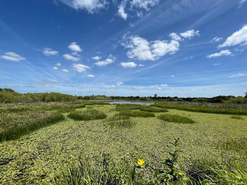 Practical Tips: What to Bring and How to Prepare