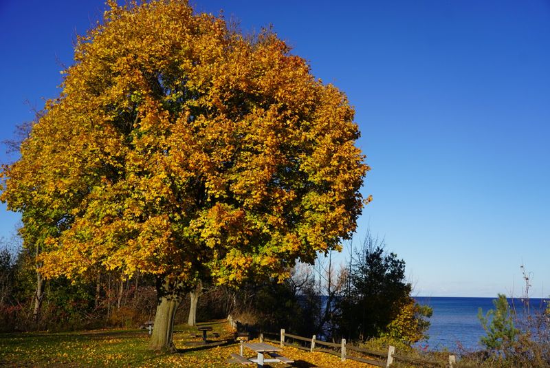 Photography Tips for Getting the Best Shots Here