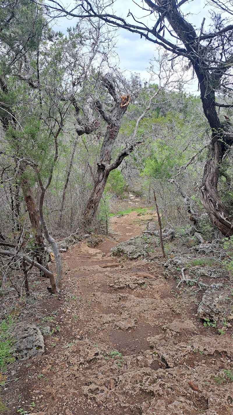 Practical Tips for a Smooth Visit