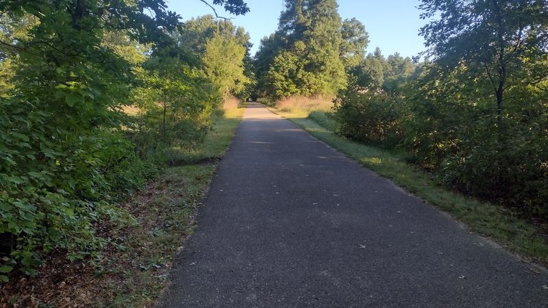 Road Crossings and Safety Details Worth Knowing