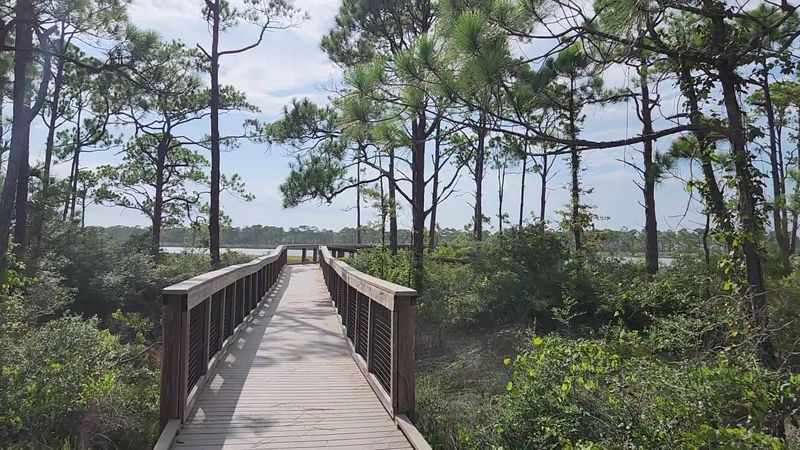 Camping Tips: What to Bring, What to Expect, and How to Prepare