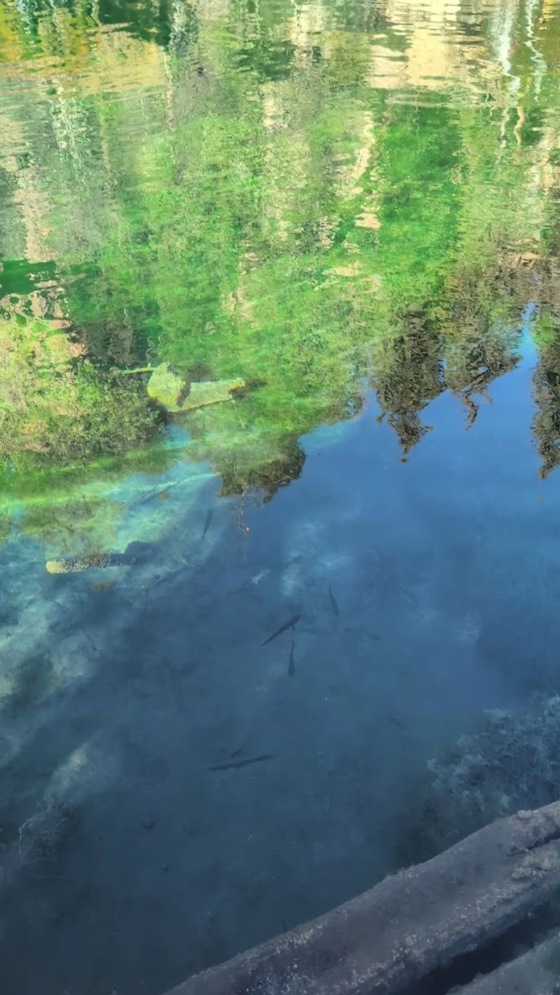 What to Pack for the Trail