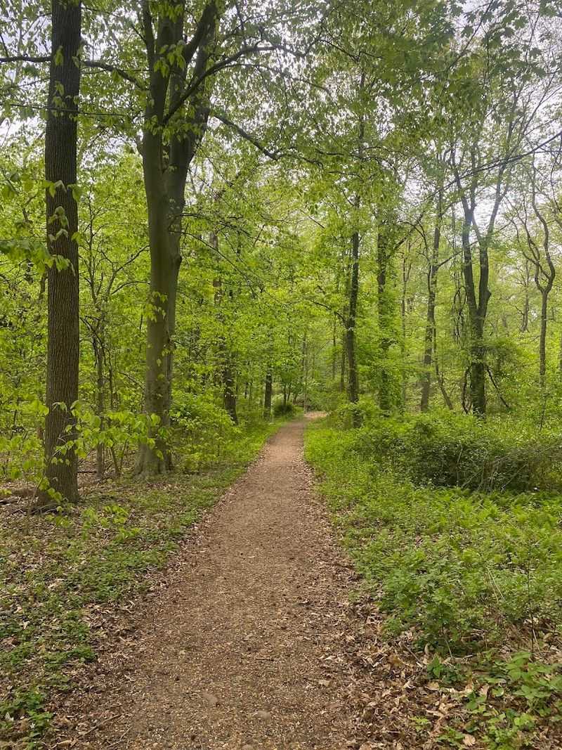 Trails, Paths, and Getting Around the Grounds