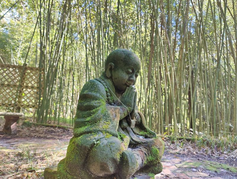 Tips, Admission, and Making the Most of Your Visit