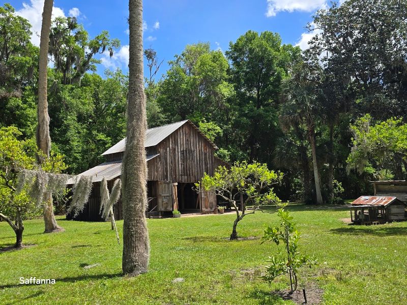 'The Yearling' and 'Cross Creek': Reading Before You Arrive
