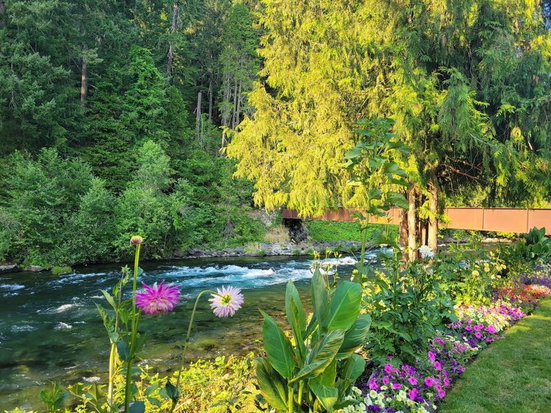 The Gardens and Grounds Beyond the Pools