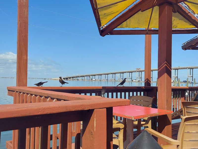 Eating Near the Lagoon: Local Flavor Worth the Trip Alone