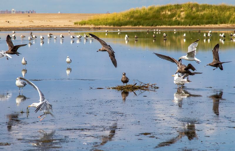 The Salt Pond and Hidden Natural Features