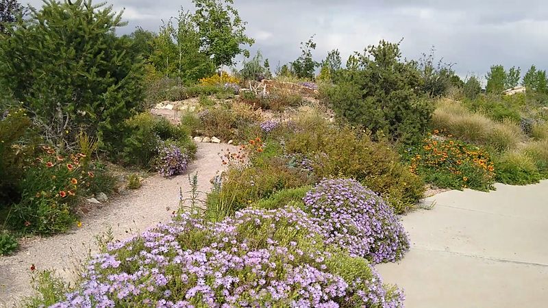 Why This Garden Deserves a Place on Your Colorado List