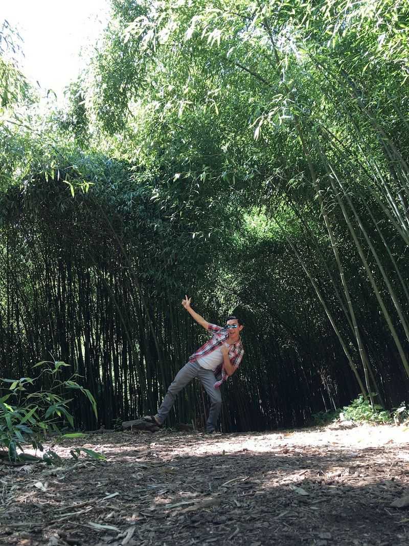 A Family-Friendly Outing That Covers All Ages