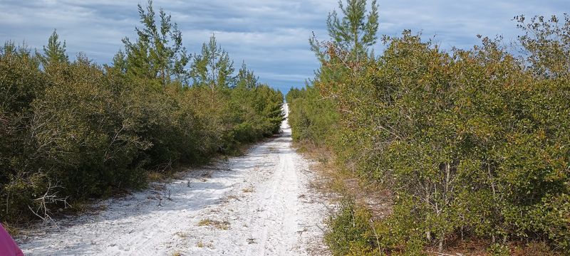 Hunting Season and Trail Safety