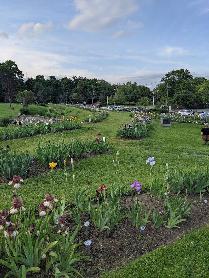 Photography at Presby