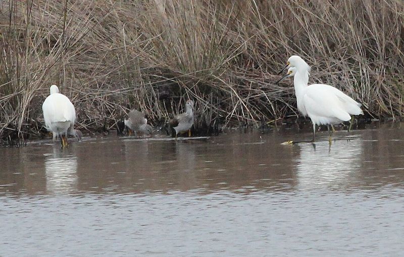 St. Marks National Wildlife Refuge