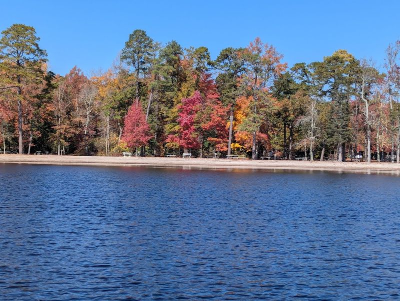 Fishing the Lakes and Ponds