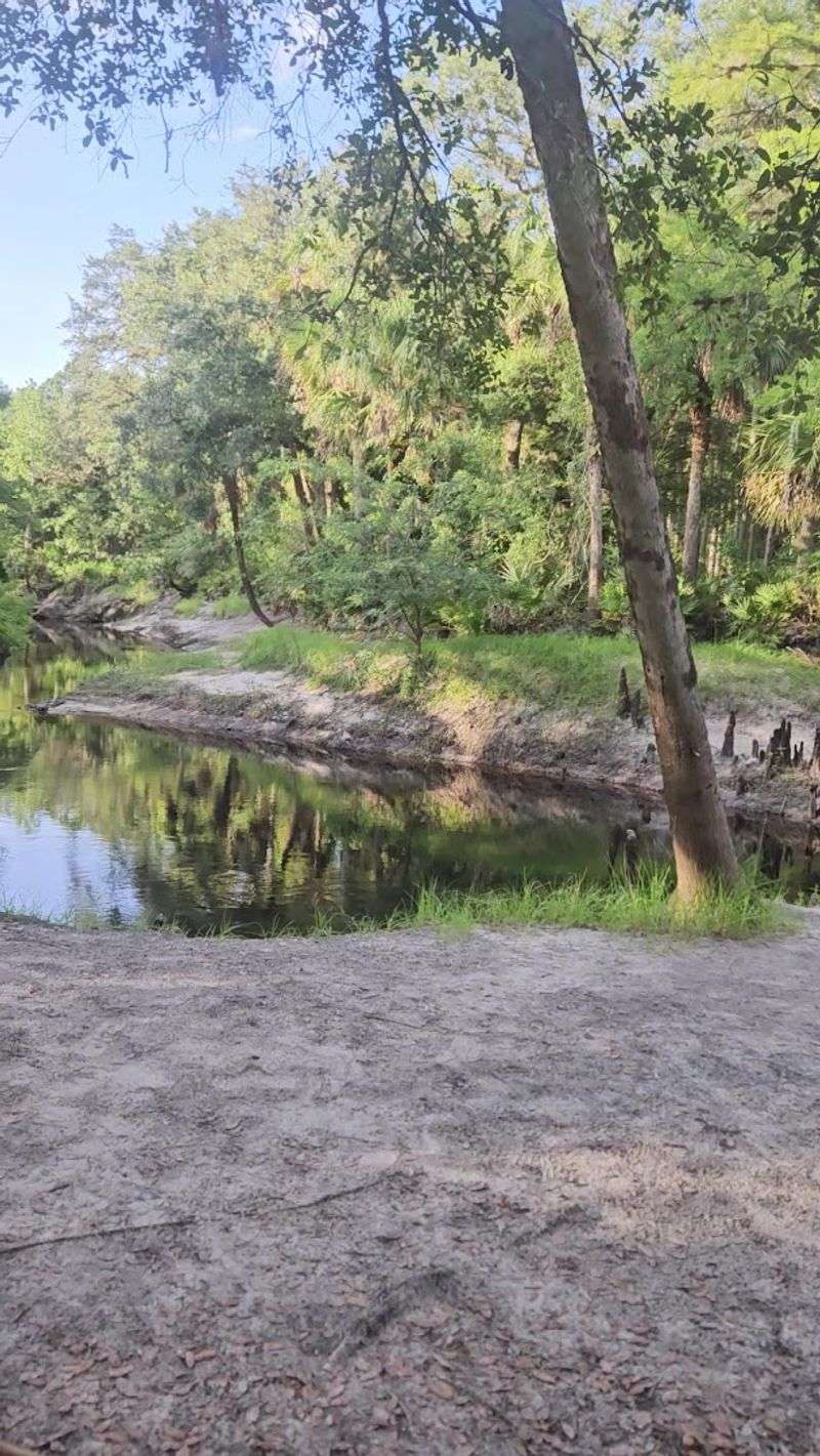 The Picnic Area and How to Make a Full Morning of It