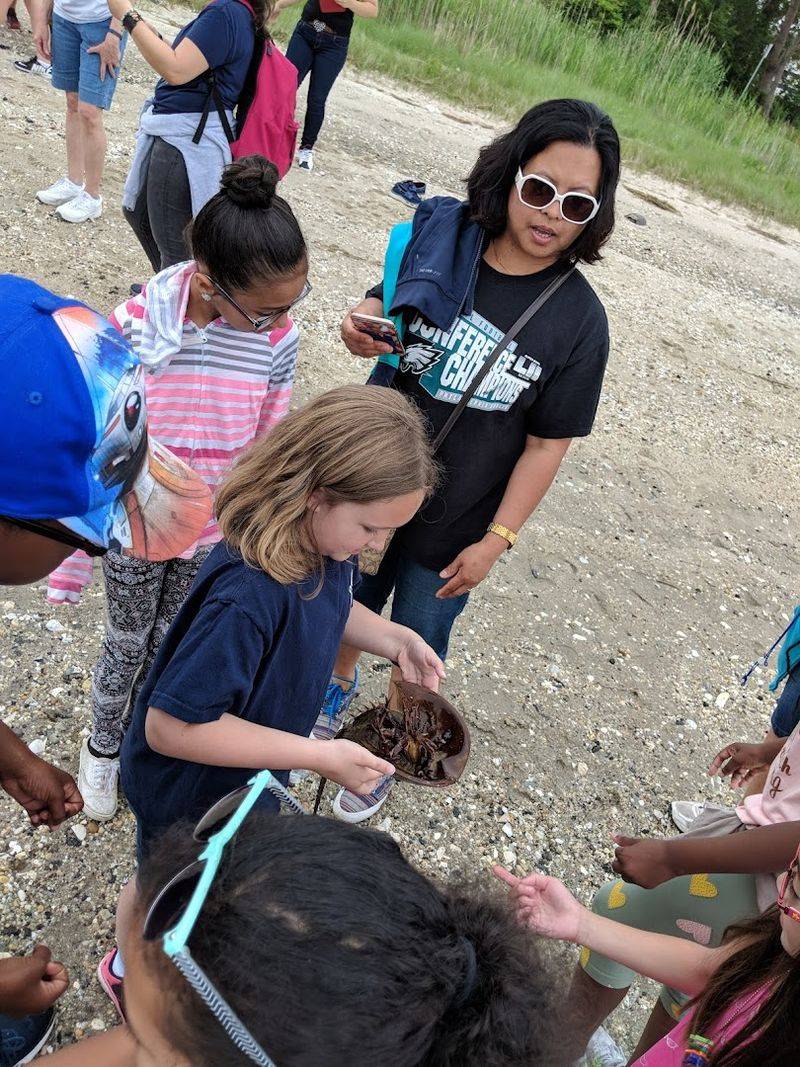 Programs That Go Beyond the Building