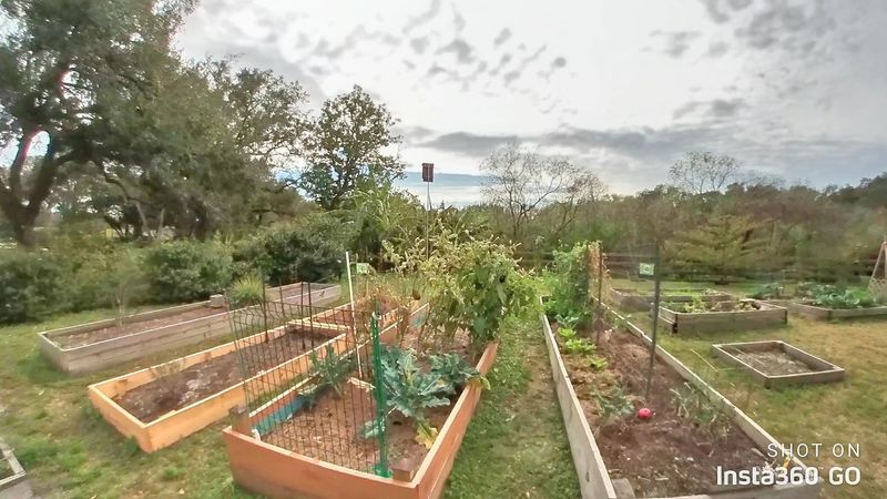 Volunteering and Community Involvement