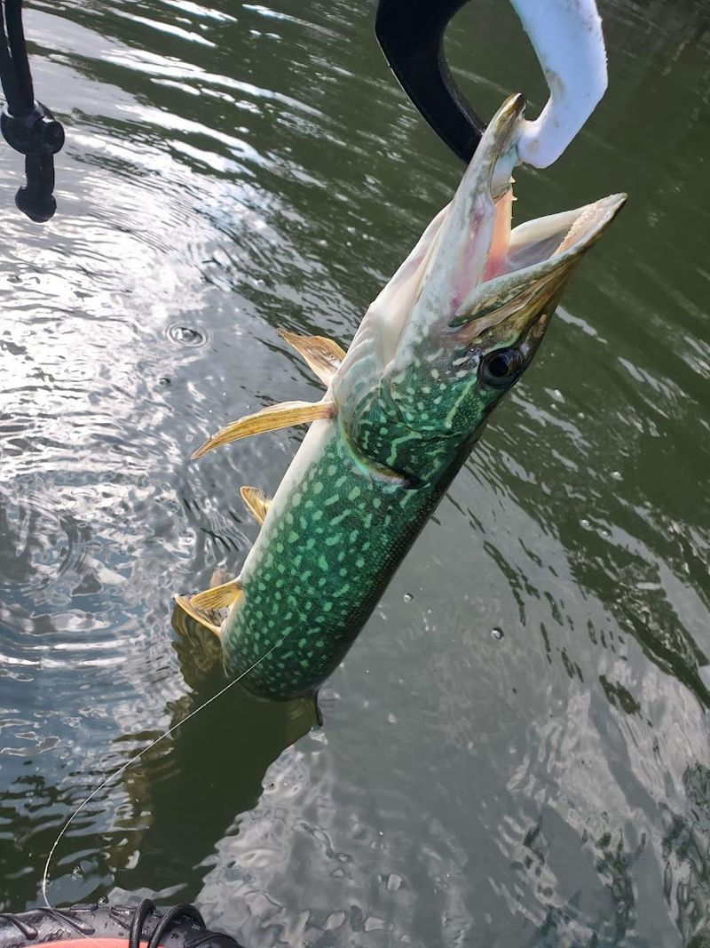 Fishing Along The Passaic River