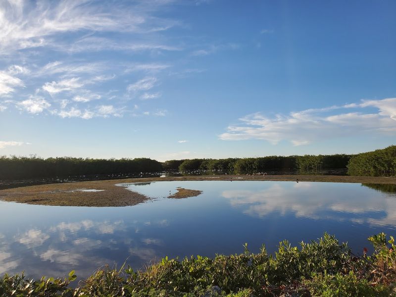 The Best Time To Arrive