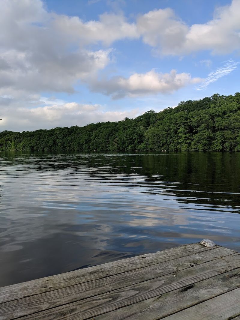 Stargazing and Night Visits That Change Everything