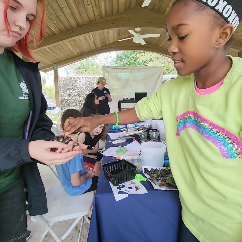 The Role of the Community in Every Rescue