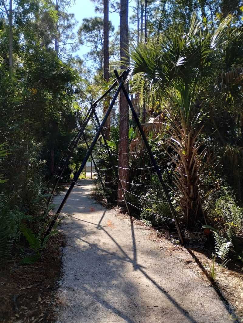 The Butterfly Garden: Native Plants and Winged Visitors