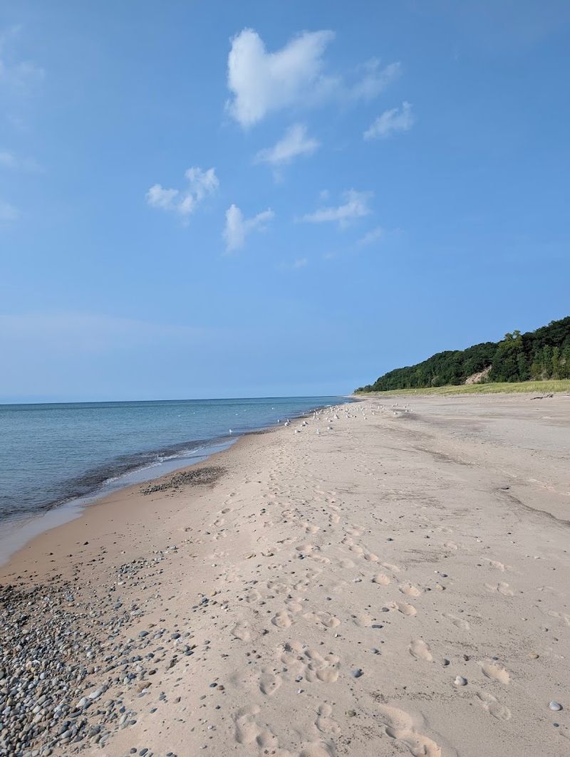 Fossils, Beach Glass, and Small Shoreline Discoveries
