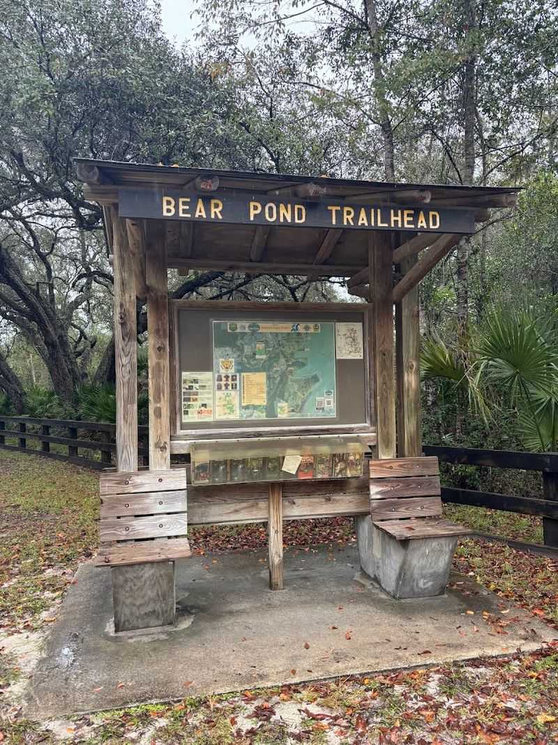 Practical Tips for Planning Your Visit