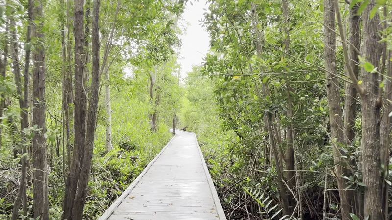 The Preserve as a Family-Friendly Outing