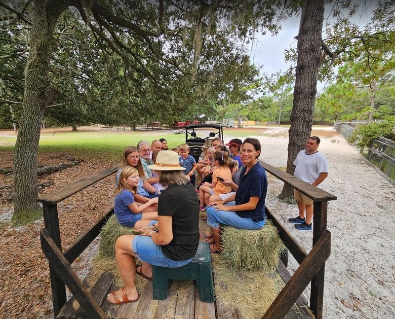 The Hay Ride Experience