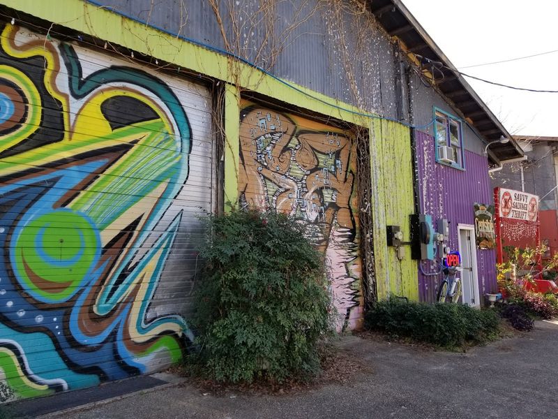 Best Times to Visit and What to Expect