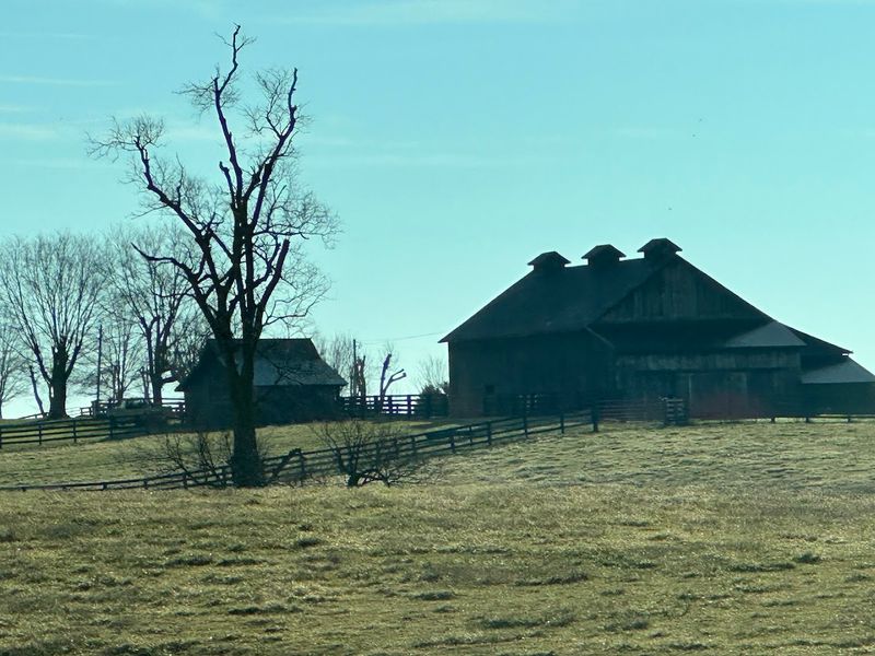 Lexington (Thumb Region)