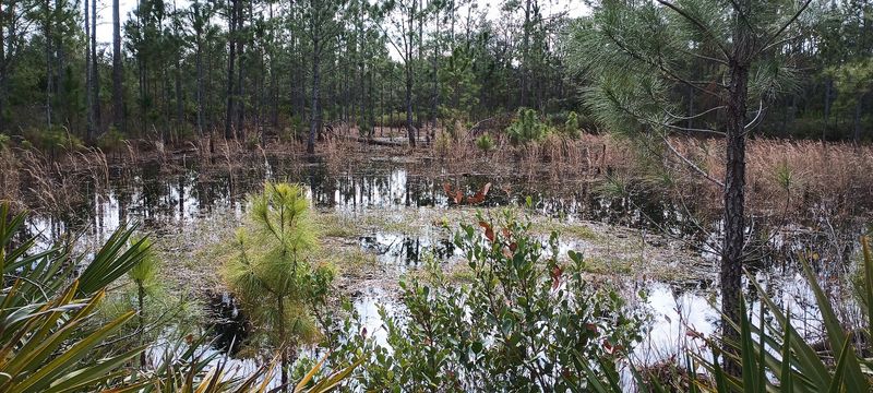 Multiple Biomes in One Hike