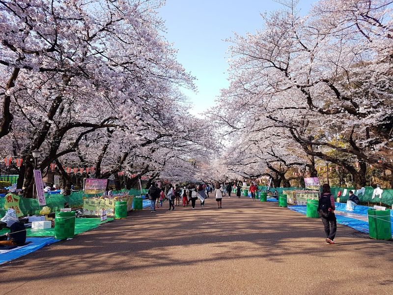 Ueno Park – Tokyo, Japan