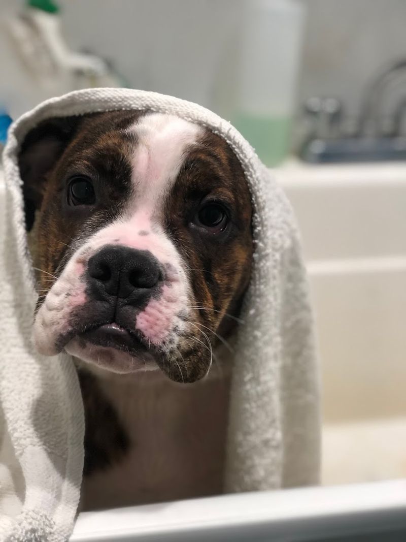 Grooming With Patience Built In