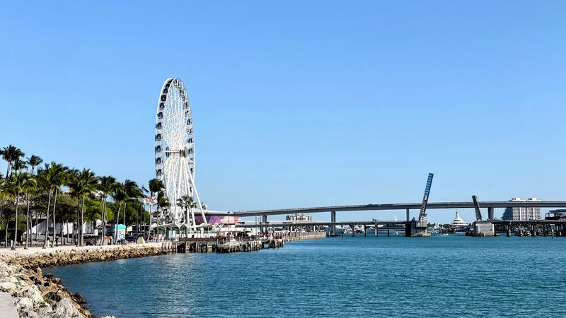 The Skyview Ferris Wheel on the Waterfront