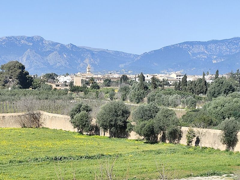 Stay in More Than One Area