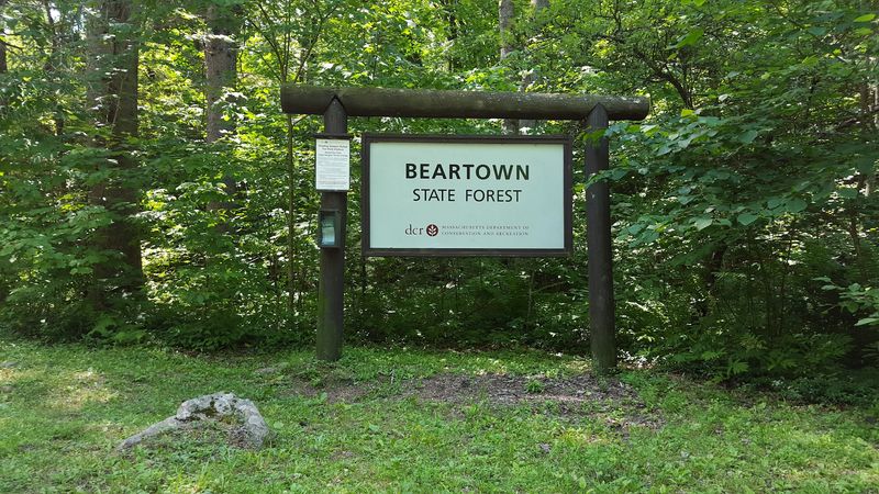 Beartown State Forest — Monterey