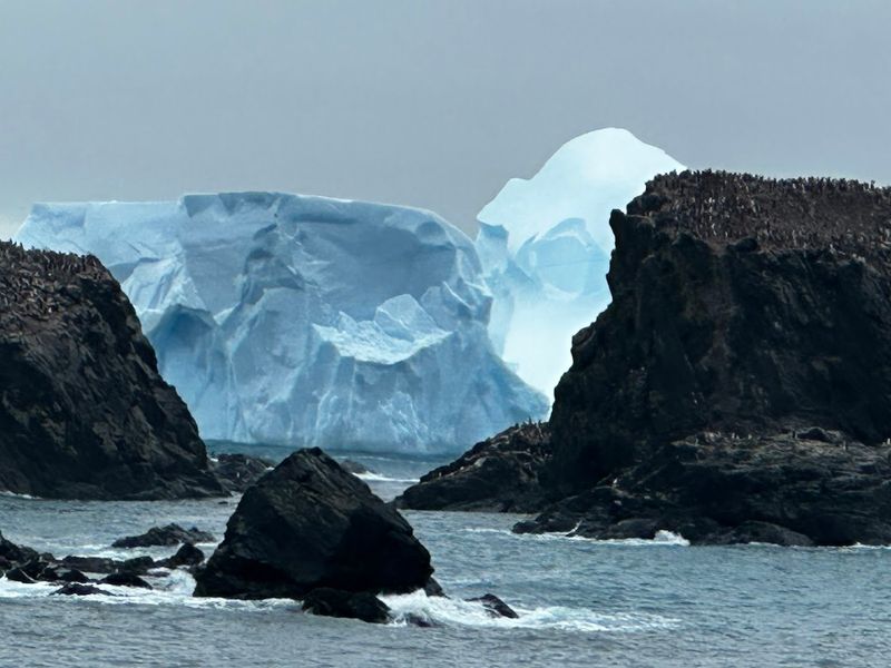 Antarctica (Coastal Regions)