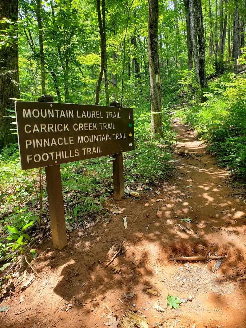 Table Rock — Pickens