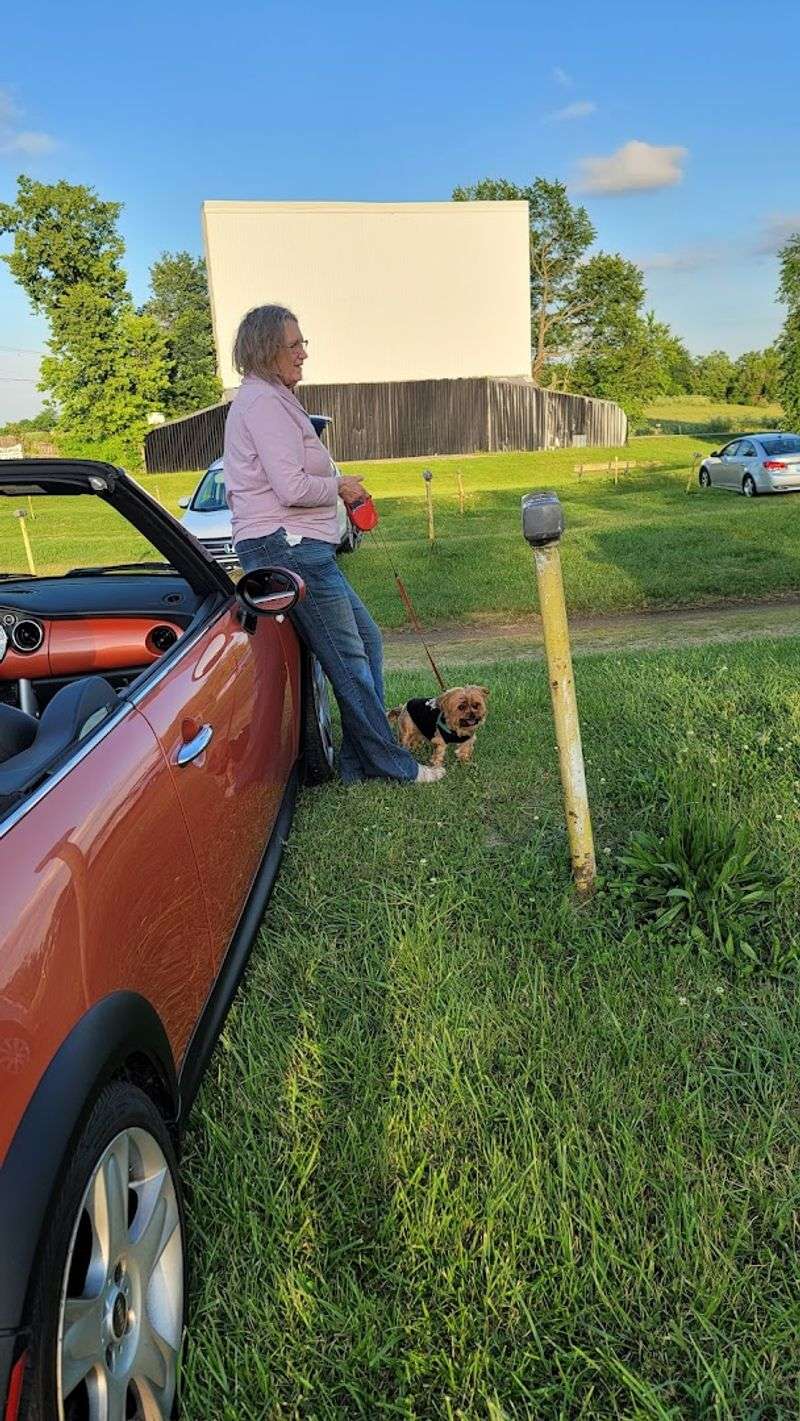 Judy Drive-In — Mount Sterling